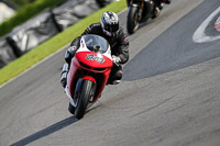 PJ-Motorsport-2019;donington-no-limits-trackday;donington-park-photographs;donington-trackday-photographs;no-limits-trackdays;peter-wileman-photography;trackday-digital-images;trackday-photos